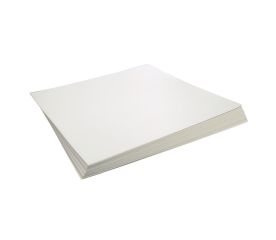 Braillon Thermoform 28x29cm - 50 sheets-DK Braille Book On the Move Image 1-$39.00-0reviews-0 stars