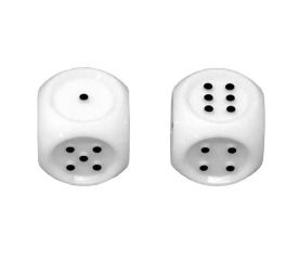 Brailled Dice - Set of 2 Dice-tactile wooden draughts set pictured with case for draught pieces-$14.00-0reviews-0 stars