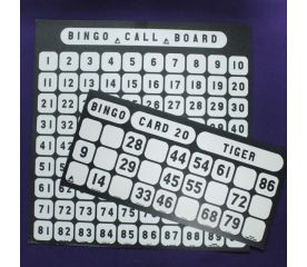 Large Print Bingo- 21 Cards and Call Board-Medtime Planner 4 boxes coloured yellow blue green and purple-$24.00-0reviews-0 stars