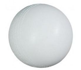 Audible Cricket Ball-$28.00-1 reviews-0 stars