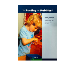 I&#039;m Posting the Pebbles - Book-DK Braille Book Lego Duplo Farm Image 1-$23.00-0reviews-0 stars