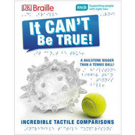 DK Braille Book - It Can't Be True!