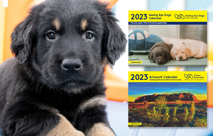 A mixed collage of a Seeing eye dog puppy with two covers of the artwork and seeing eye dogs calendars